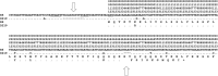 FIG 2