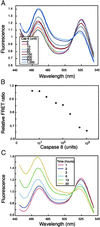Fig 2.