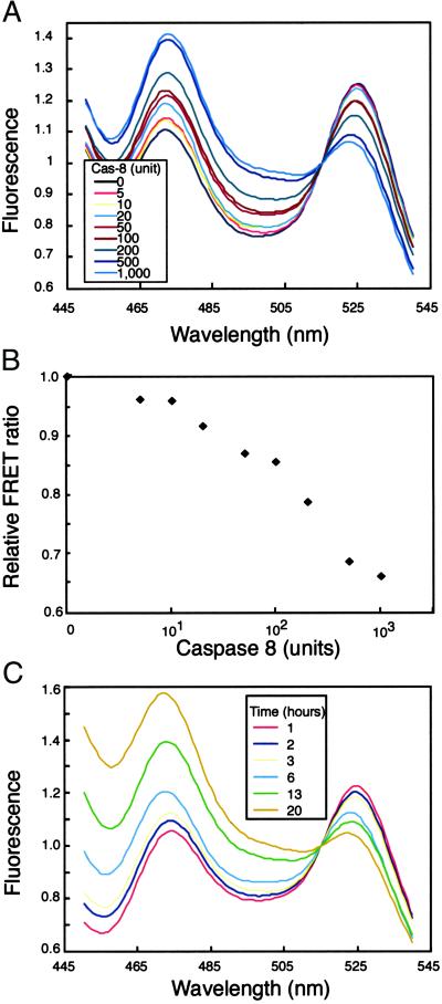 Fig 2.