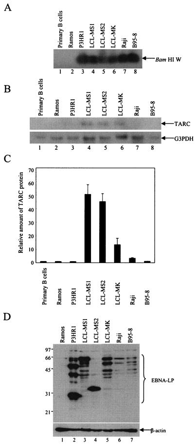 FIG. 6.