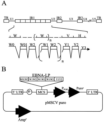 FIG. 1.