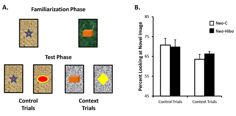 Figure 7: