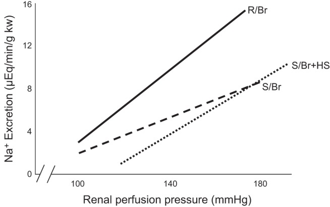 FIGURE 16.