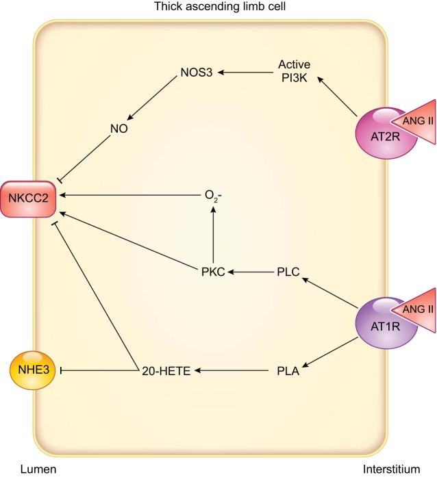 FIGURE 10.