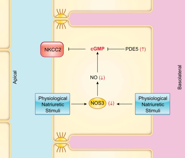 FIGURE 23.