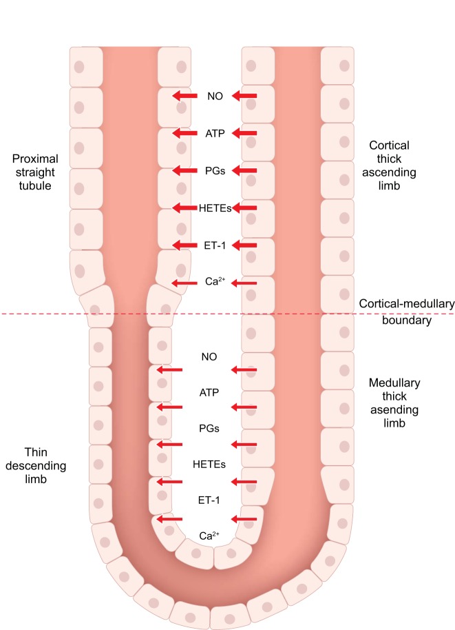 FIGURE 15.