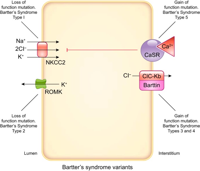 FIGURE 26.