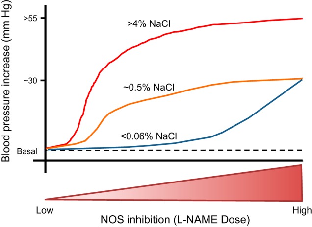 FIGURE 24.