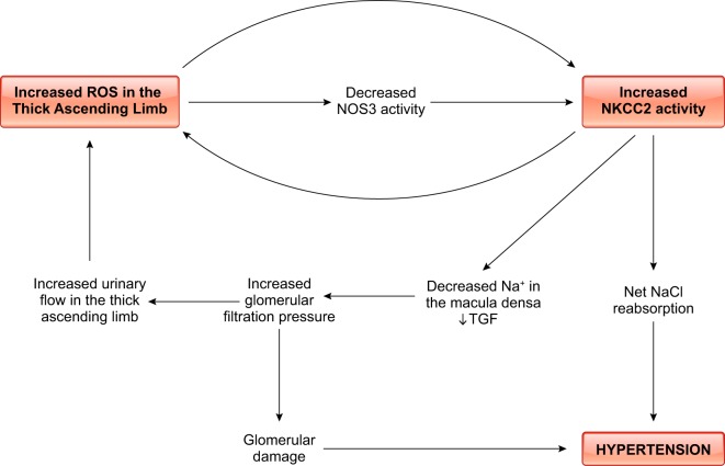 FIGURE 19.