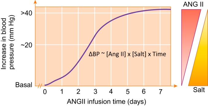 FIGURE 21.