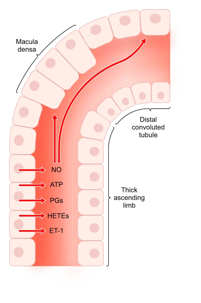 FIGURE 14.