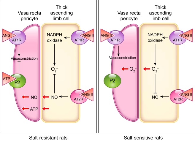 FIGURE 18.