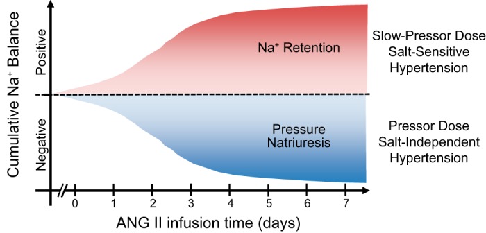 FIGURE 22.