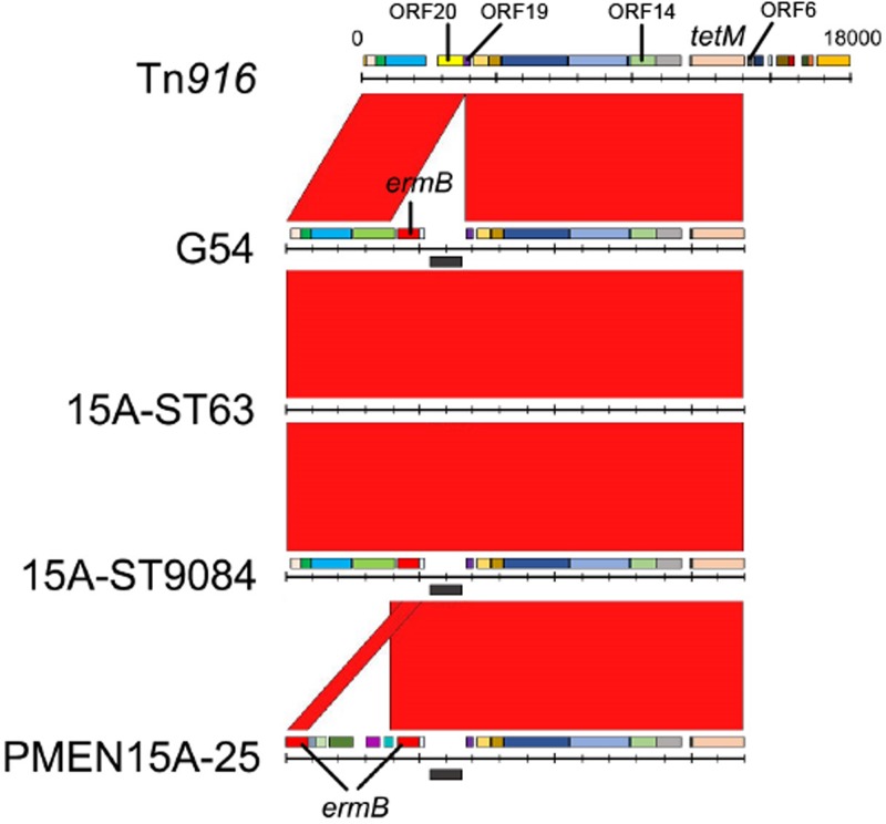 FIG 3