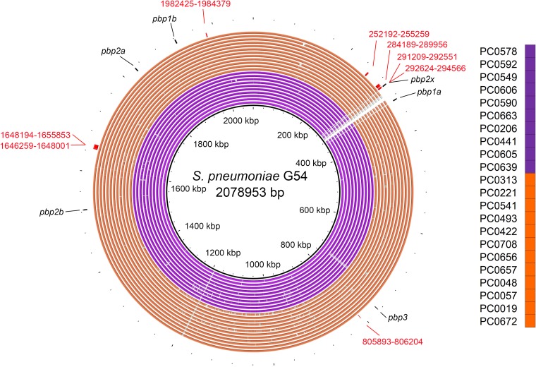 FIG 2