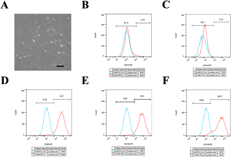 Figure 1