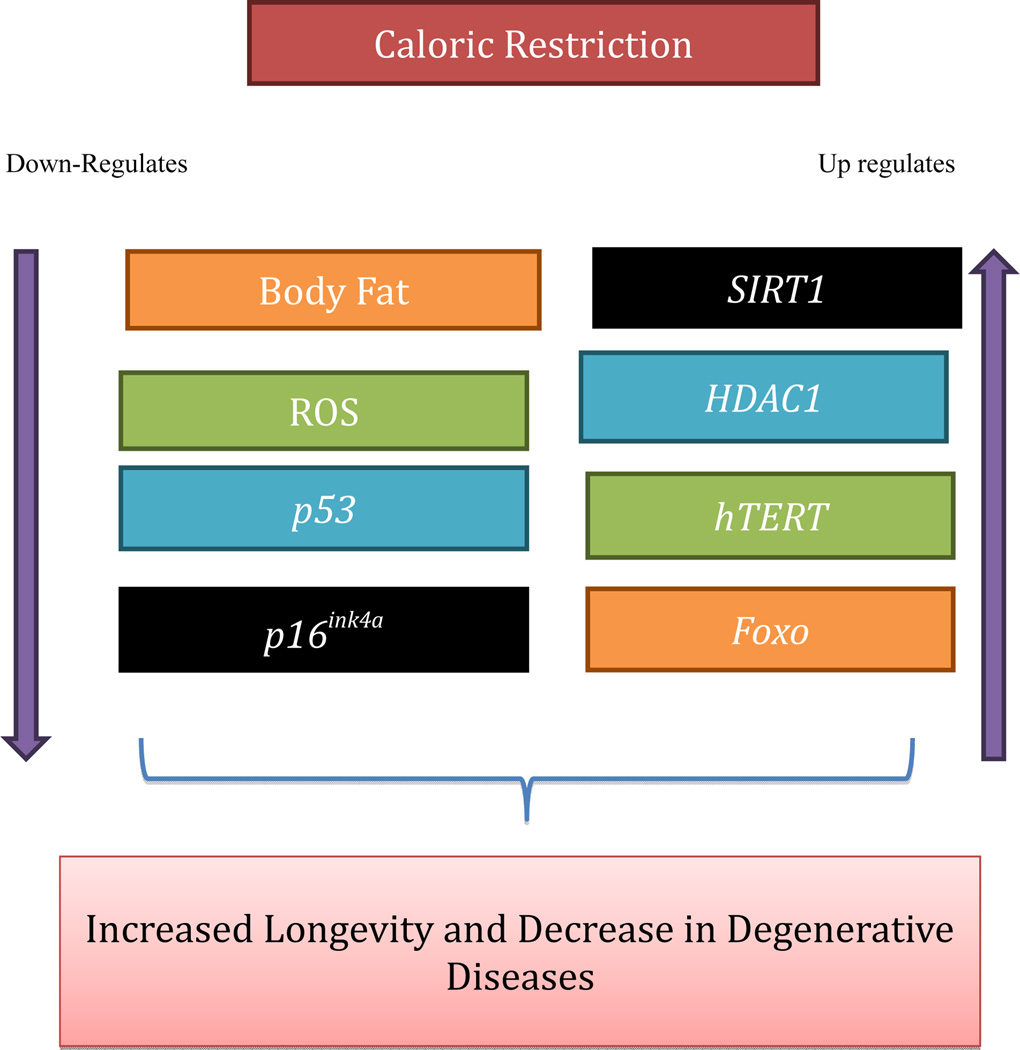 Fig. (1)