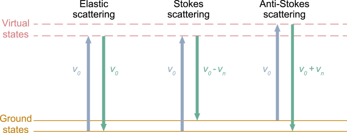 Fig. 1