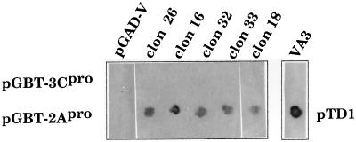 FIG. 1