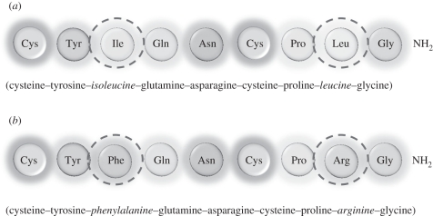 Figure 2.