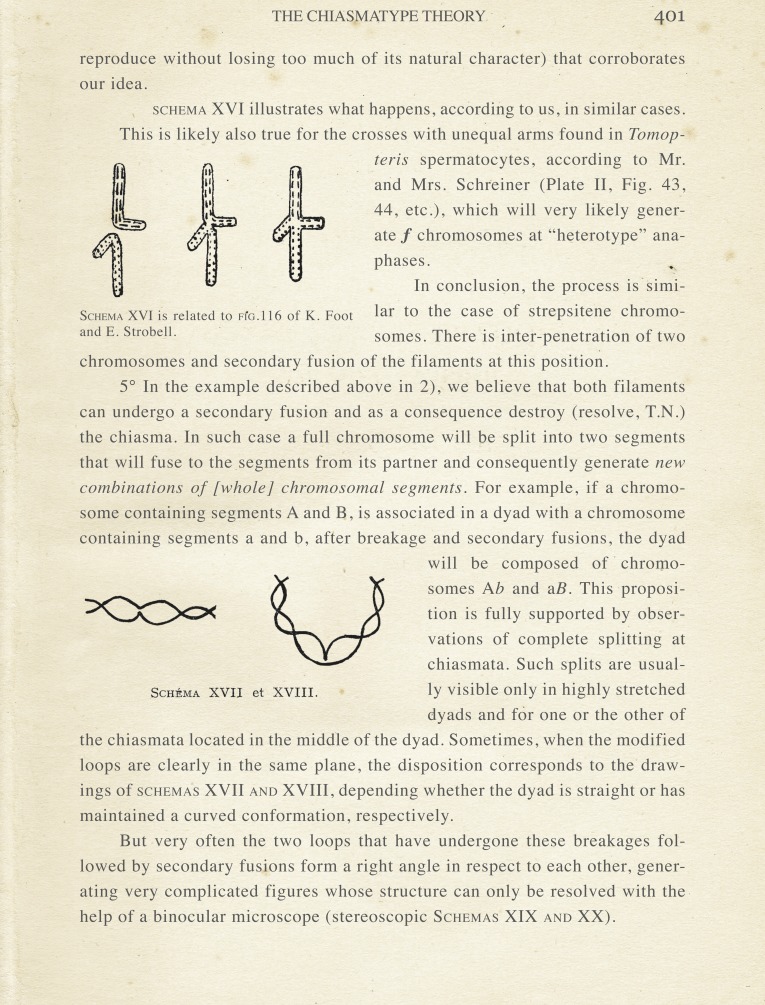 graphic file with name 319fig1n.jpg