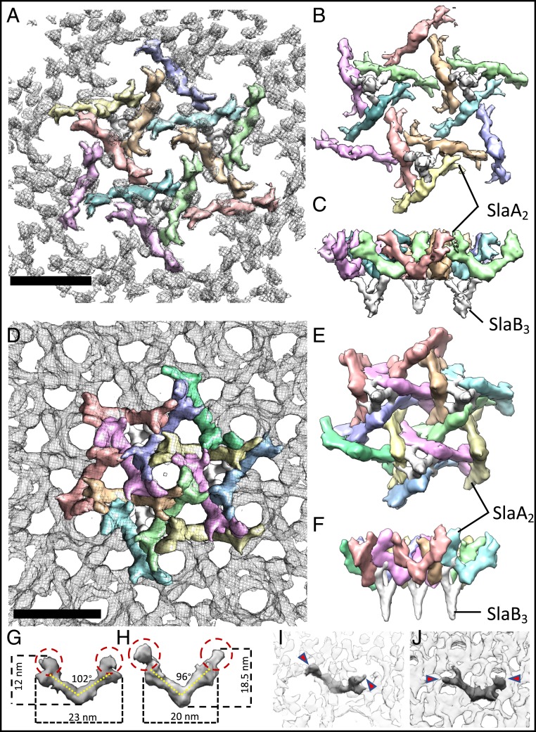 Fig. 4.