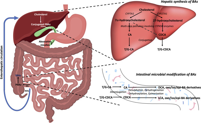 Figure 1