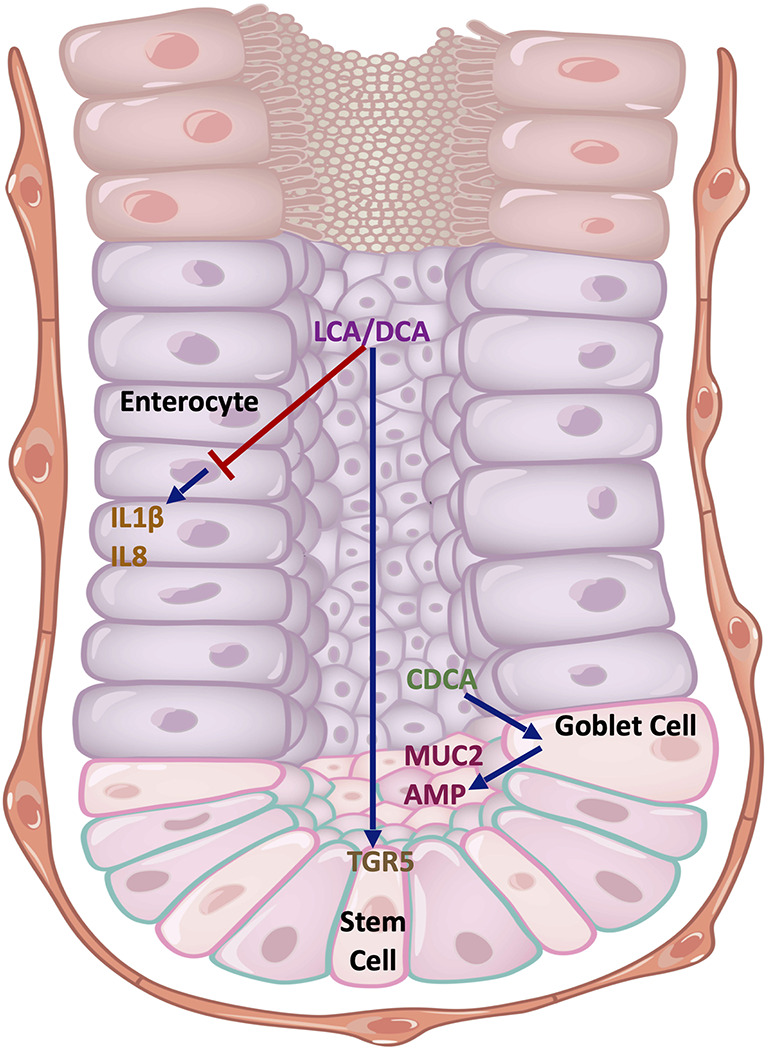 Figure 4