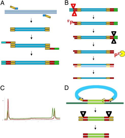 Fig. 1.