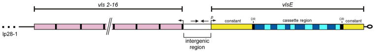 FIG. 1