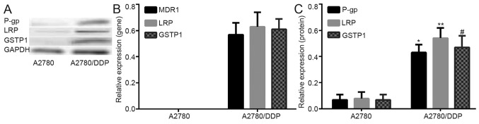 Figure 2.