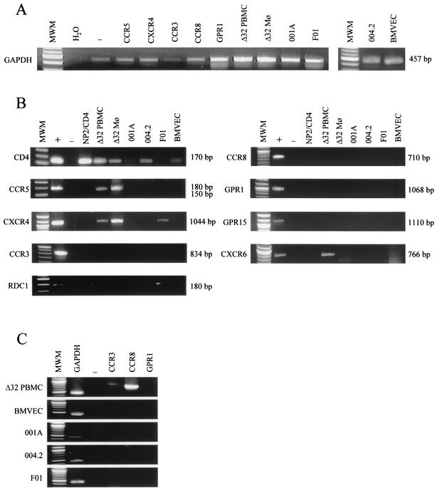 FIG. 7.