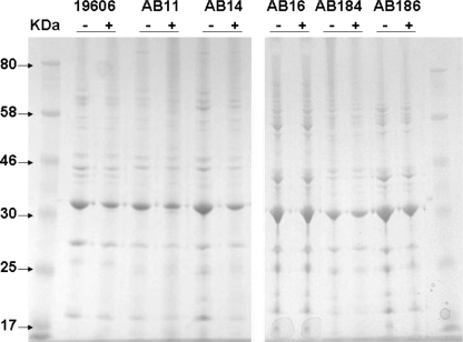 FIG. 5.