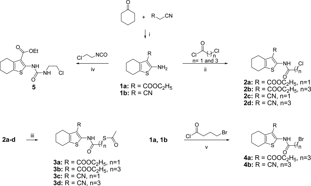 Scheme 1