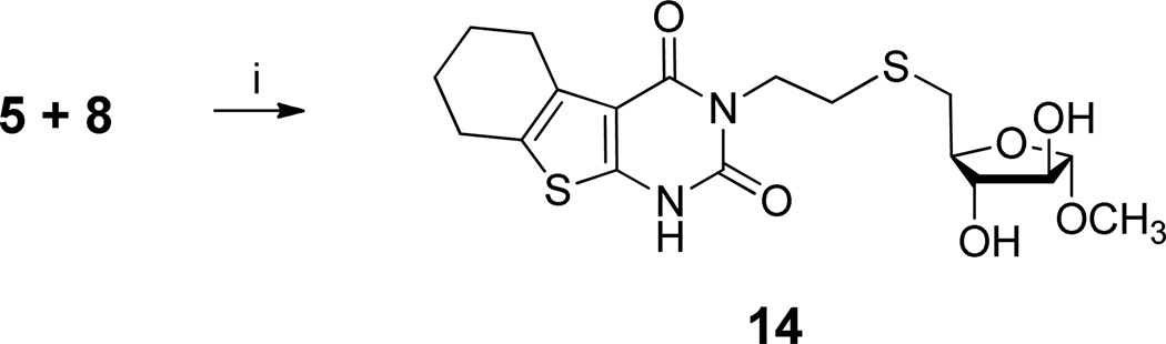 Scheme 4