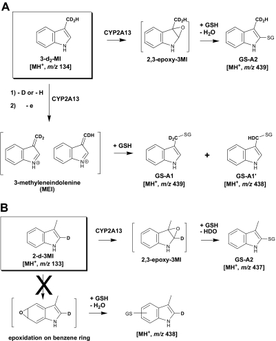 Scheme 2.