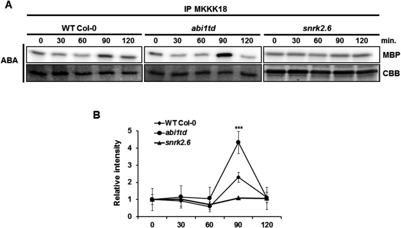 Fig. 8