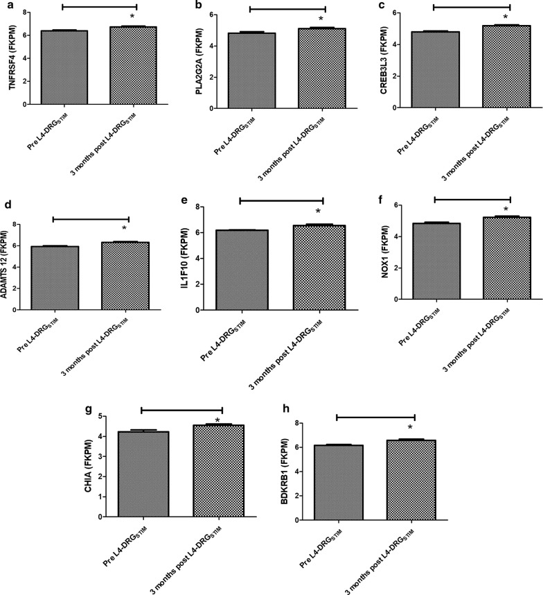 Fig. 6