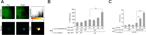 FIGURE 4.