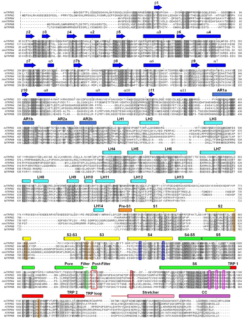 Figure 2—figure supplement 3.