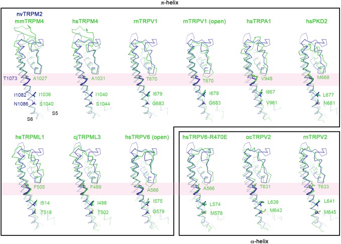 Figure 3—figure supplement 3.