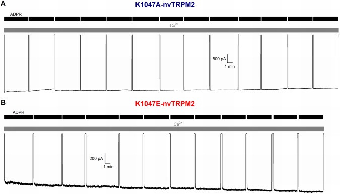 Figure 3—figure supplement 2.