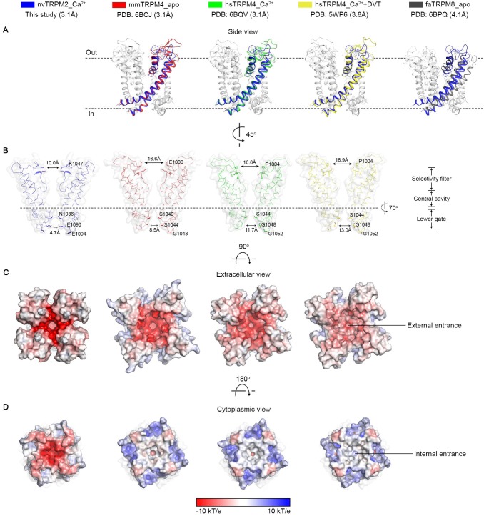 Figure 3—figure supplement 1.