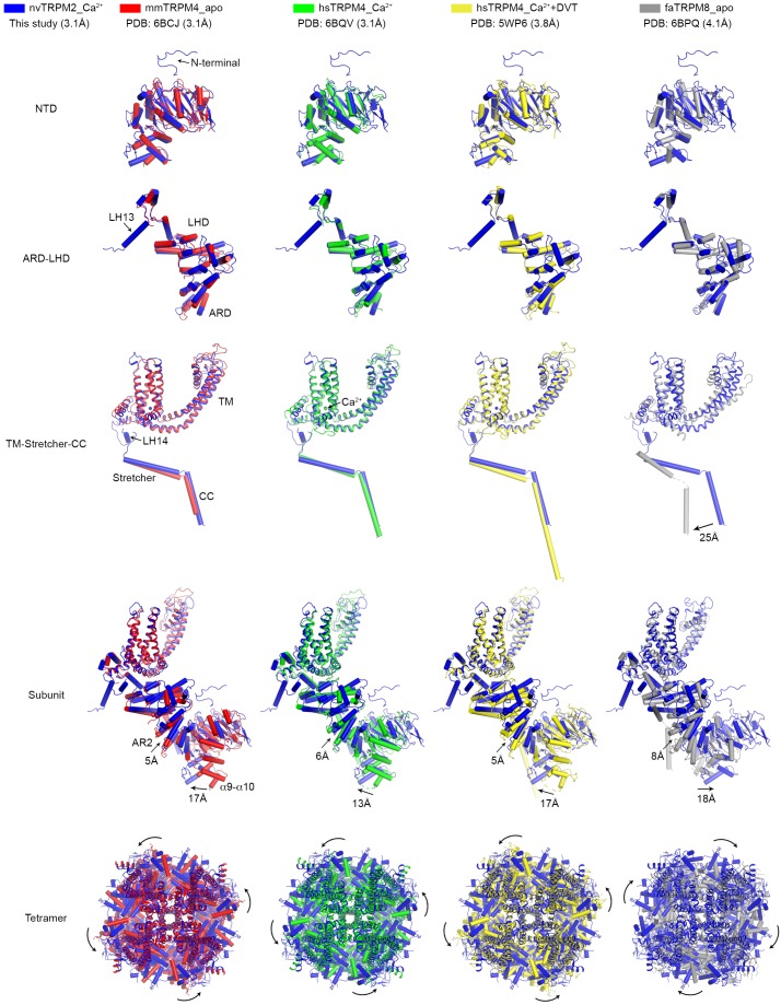 Figure 2—figure supplement 5.