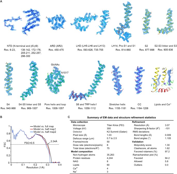 Figure 2—figure supplement 2.