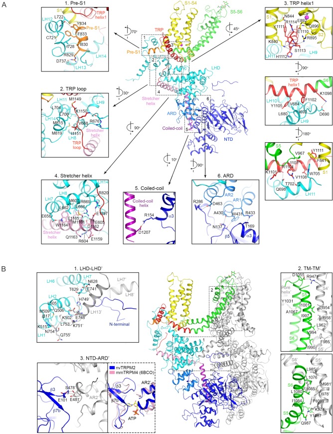 Figure 2—figure supplement 4.