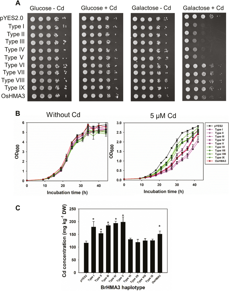 Fig. 6.