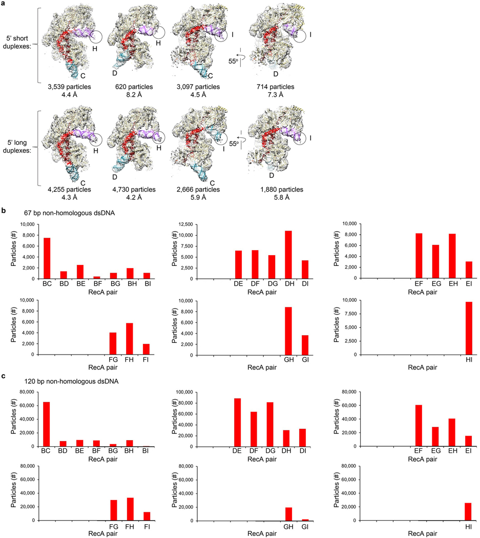 Extended Data Figure 4 |