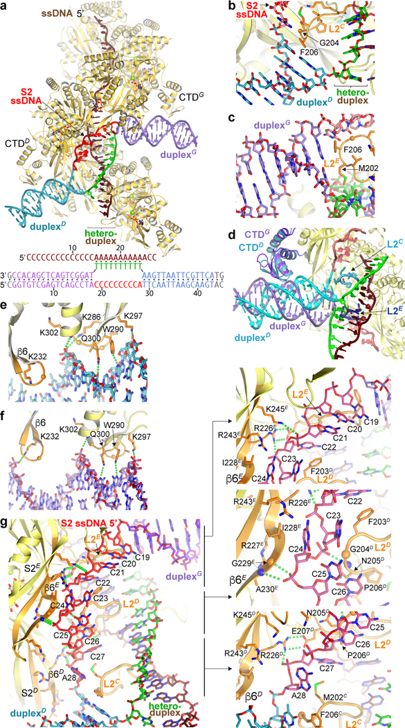 Figure 3 |