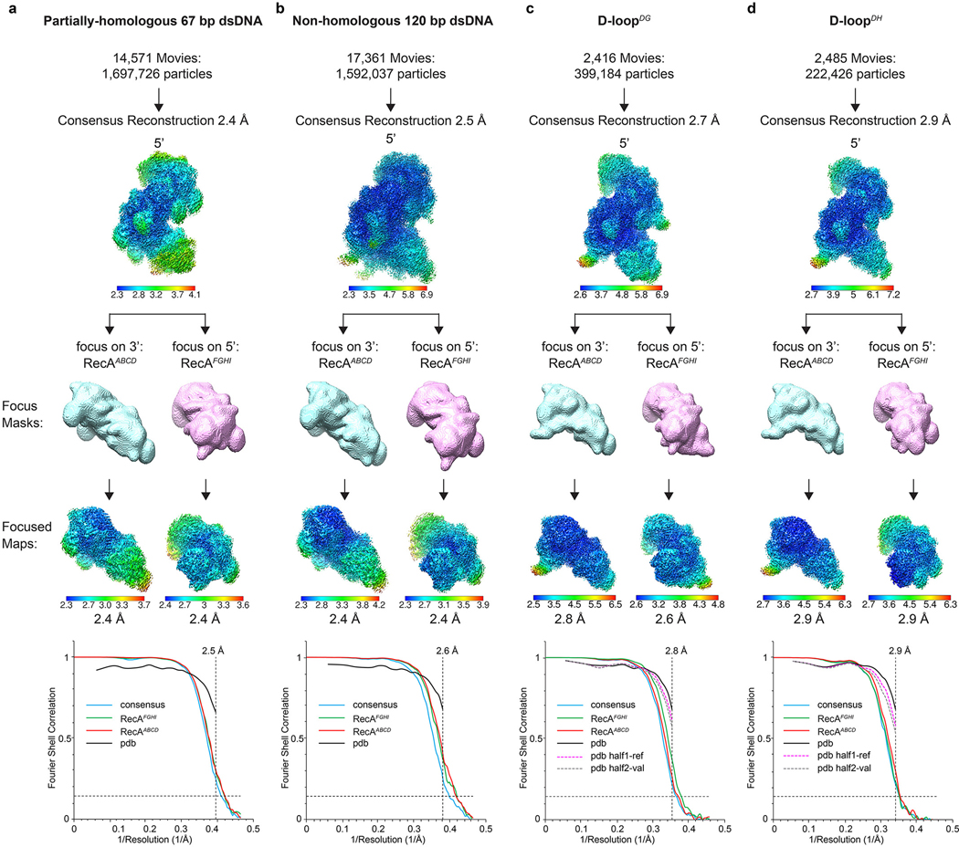 Extended Data Figure 7 |